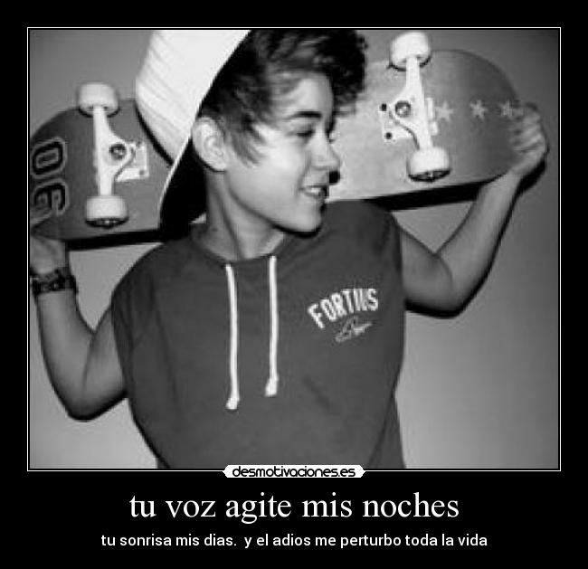 tu voz agite mis noches - tu sonrisa mis dias.  y el adios me perturbo toda la vida