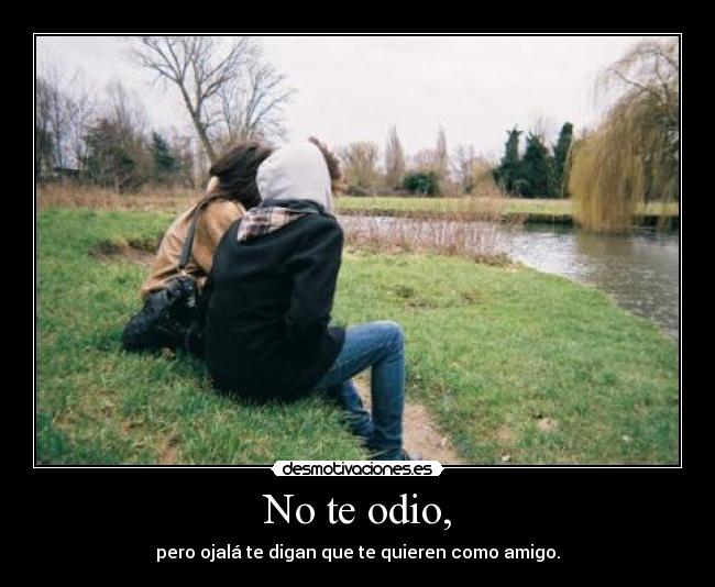 No te odio, -