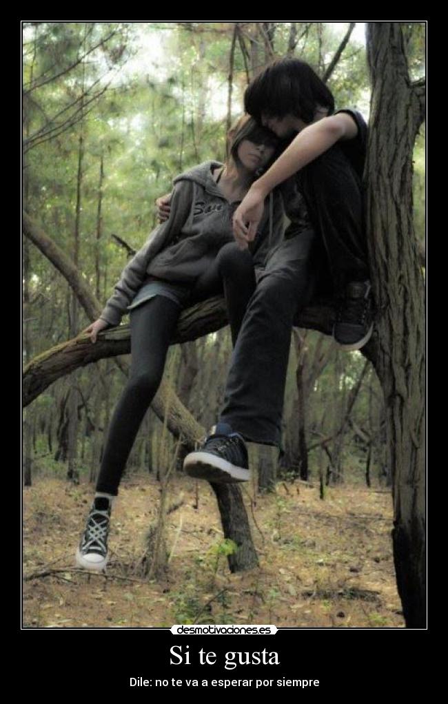 Si te gusta - 