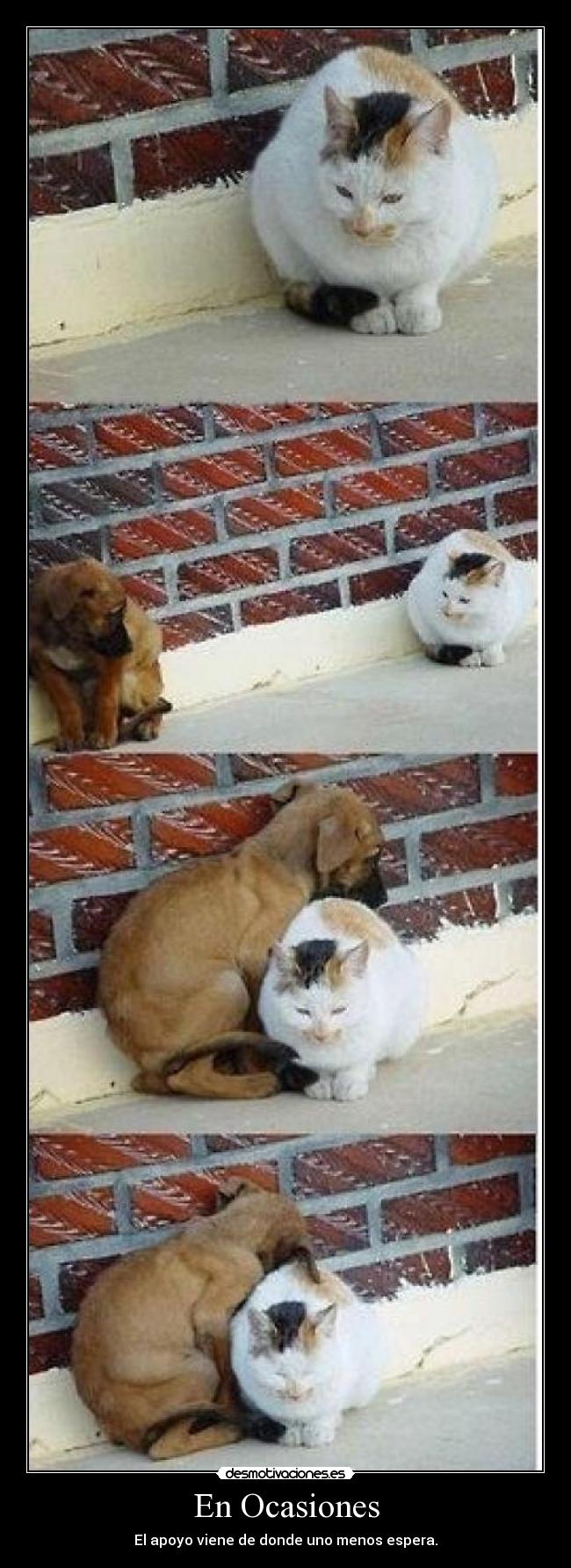 carteles apoyo desmotivaciones