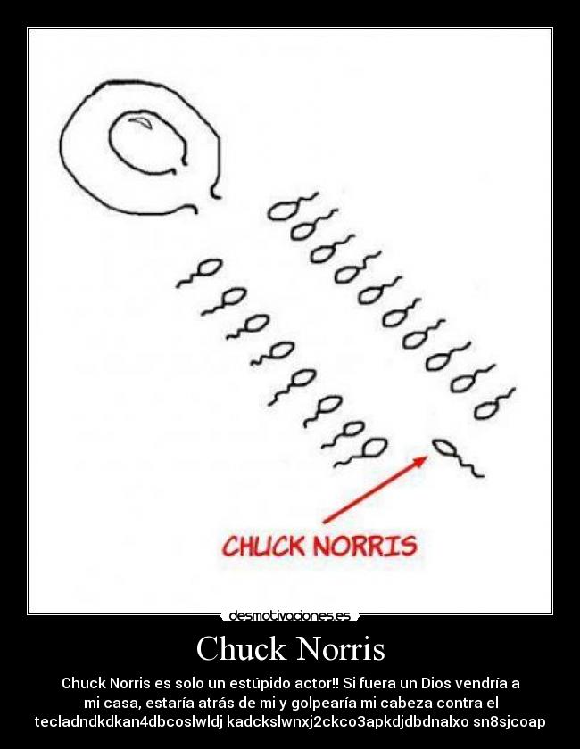 Chuck Norris - Chuck Norris es solo un estúpido actor!! Si fuera un Dios vendría a
mi casa, estaría atrás de mi y golpearía mi cabeza contra el
tecladndkdkan4dbcoslwldj kadckslwnxj2ckco3apkdjdbdnalxo sn8sjcoap