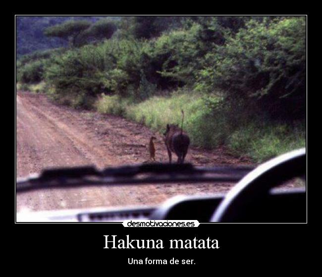 Hakuna matata - 