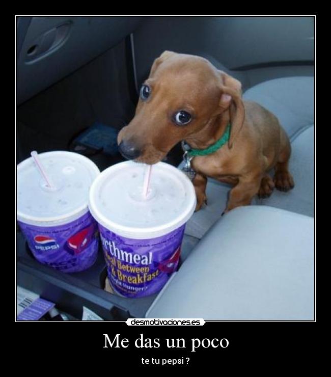 Me das un poco - te tu pepsi ?