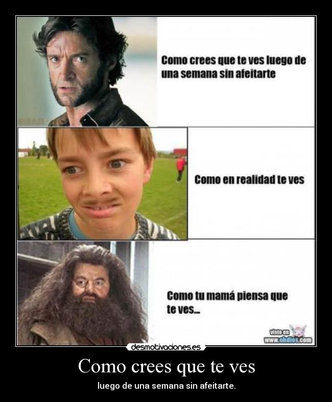 carteles juako40 desmotivaciones