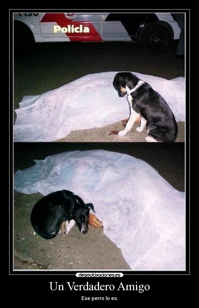 Un Verdadero Amigo - 