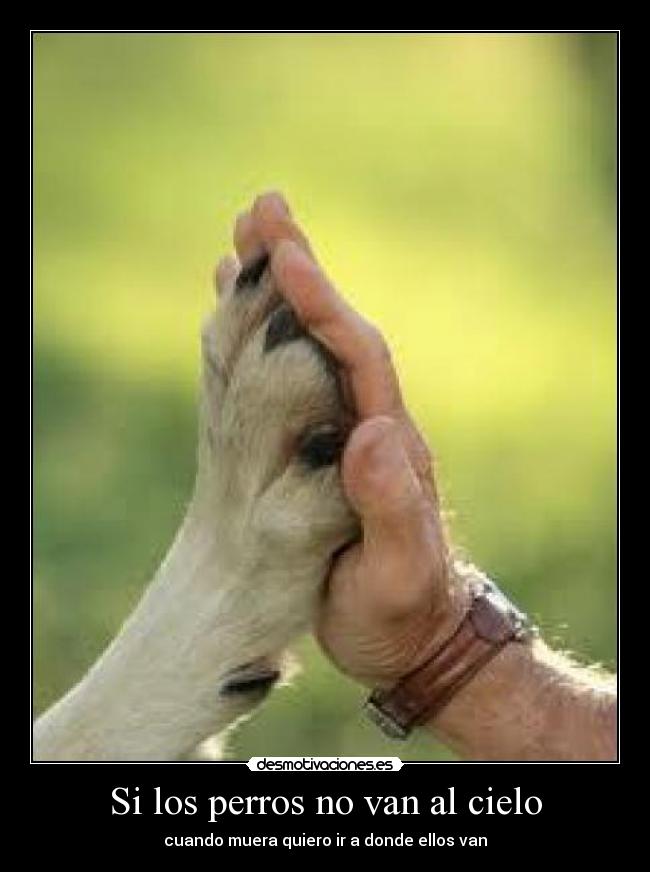 Si los perros no van al cielo - cuando muera quiero ir a donde ellos van