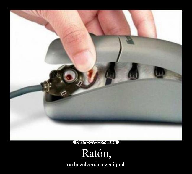 Ratón, - no lo volverás a ver igual.