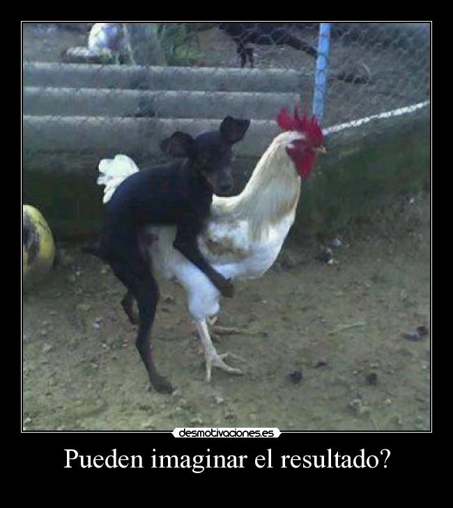 Pueden imaginar el resultado? - 