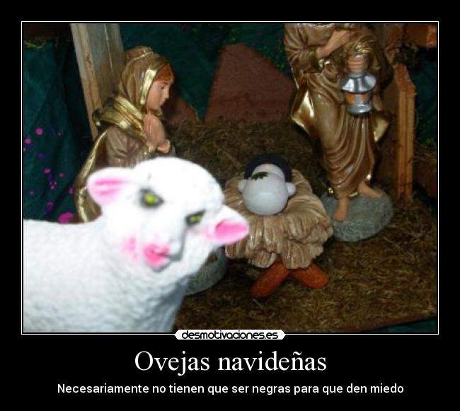 Ovejas navideñas -