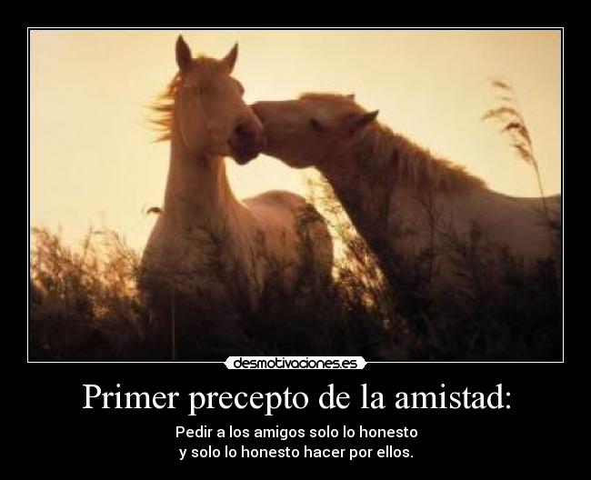 carteles amistad primer precepto amistad desmotivaciones