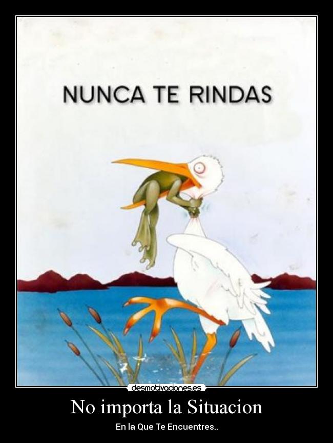 No importa la Situacion -