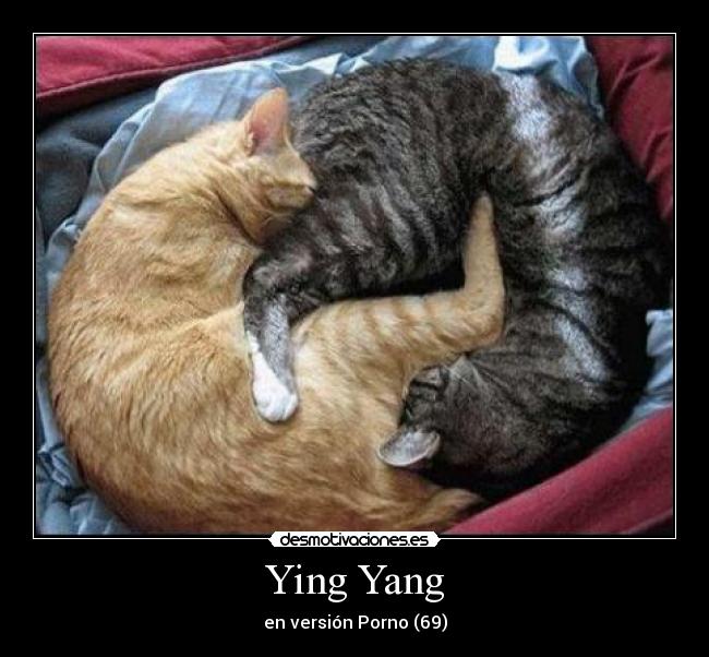 Ying Yang - 