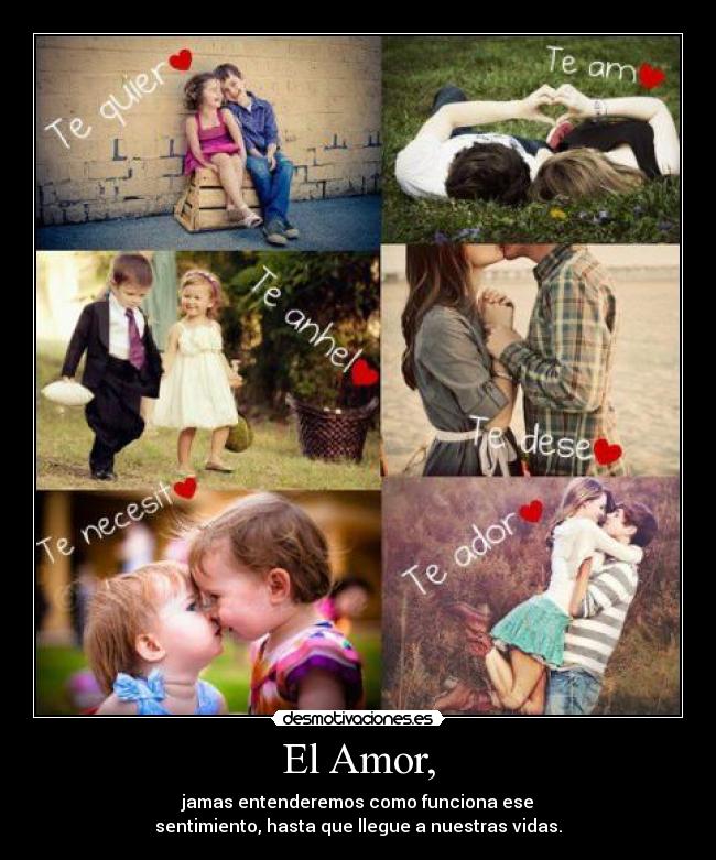 El Amor, - 