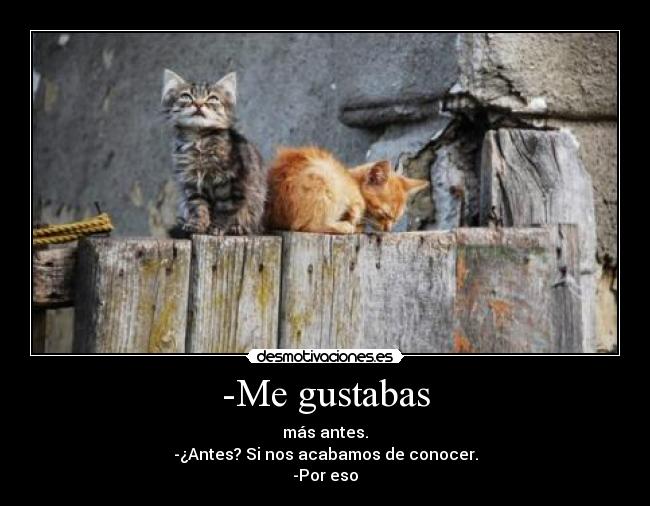 -Me gustabas - más antes.
-¿Antes? Si nos acabamos de conocer.
-Por eso