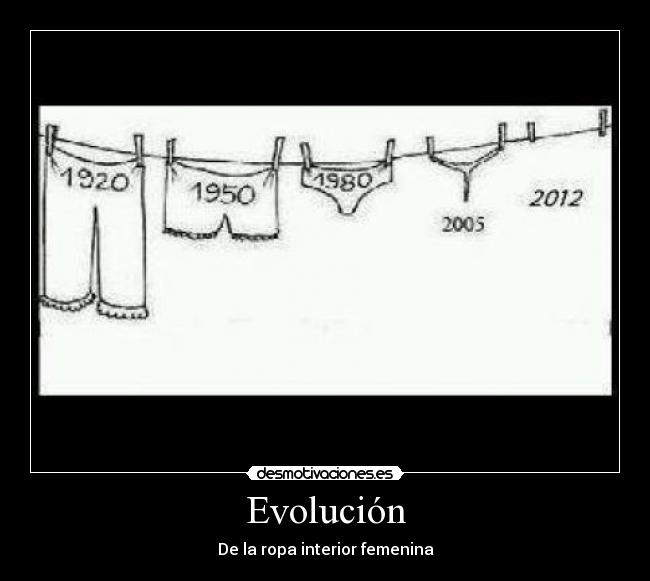 Evolución - 