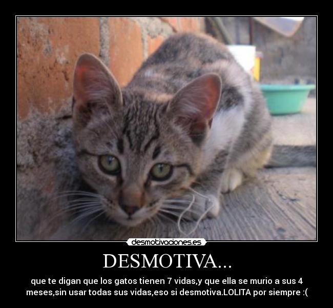 DESMOTIVA... -