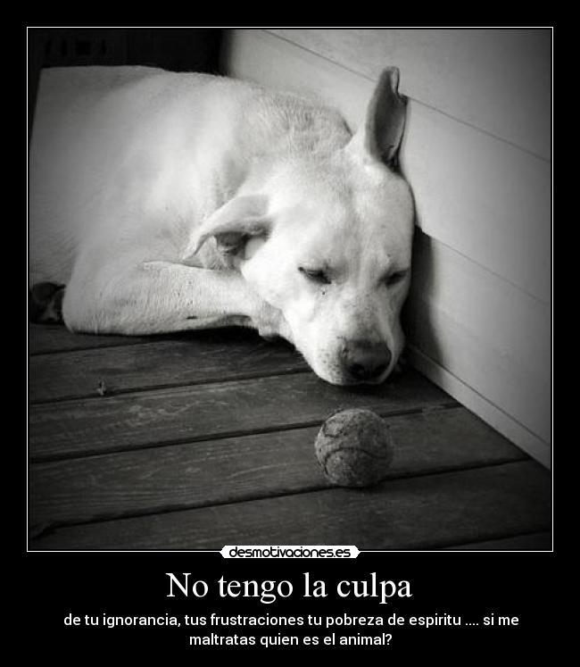 carteles noalmaltratoanimal desmotivaciones