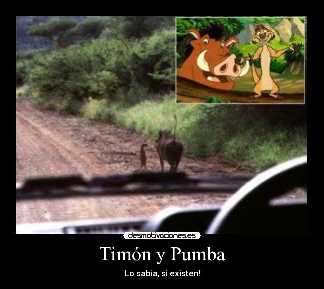 Timón y Pumba -