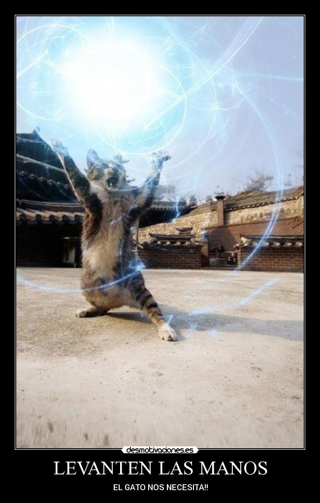 LEVANTEN LAS MANOS -