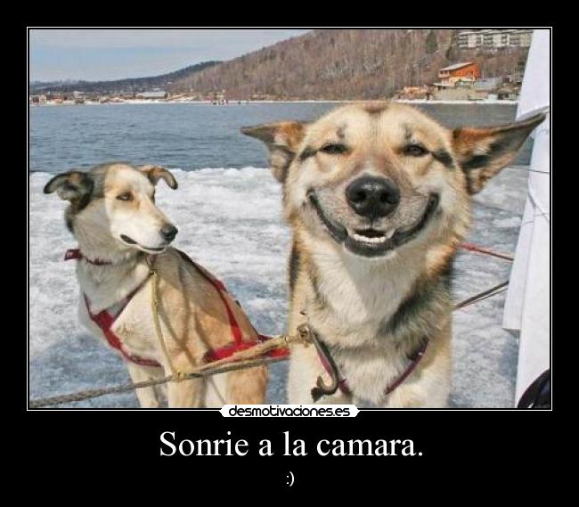 Sonrie a la camara. - :)