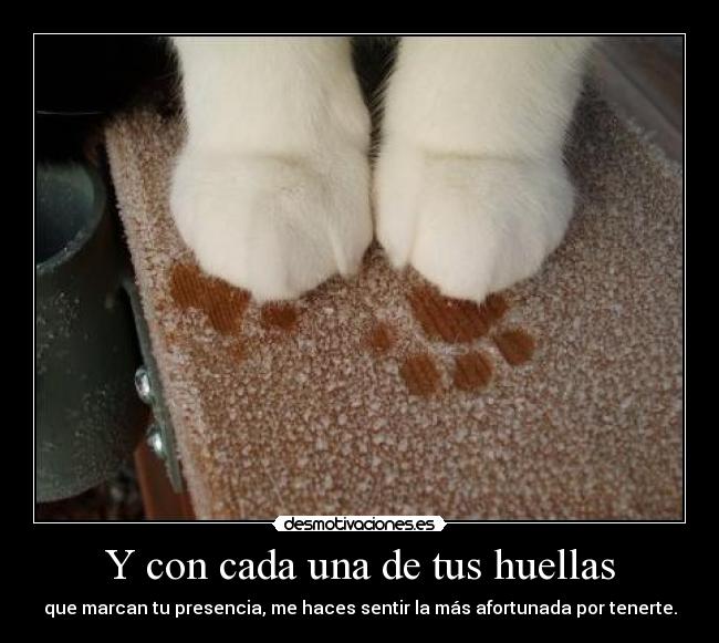 carteles still love you neeeeeeeeemin tifani9 desmotivaciones