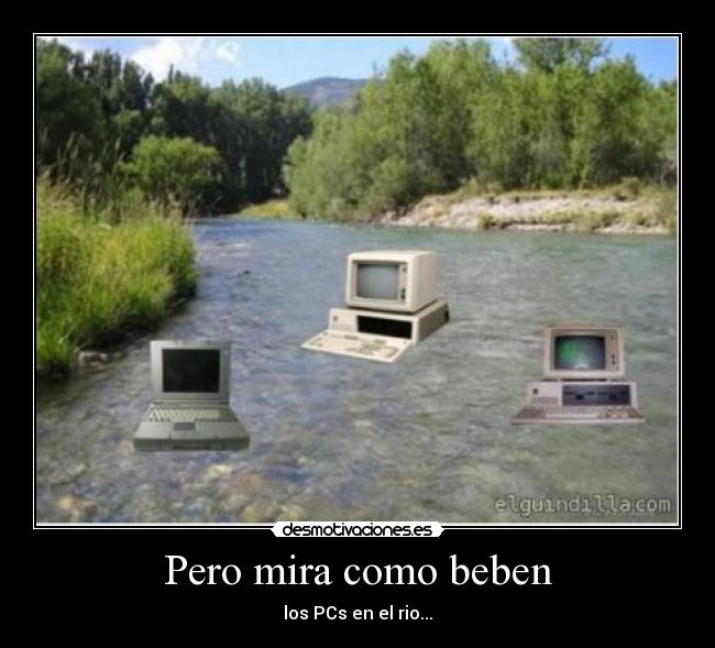 Pero mira como beben - los PCs en el rio...