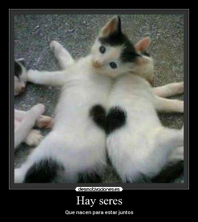 Hay seres - 