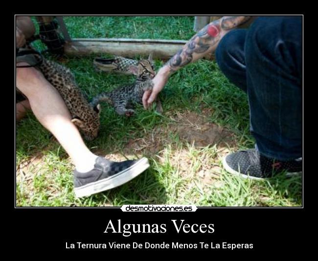 Algunas Veces - 