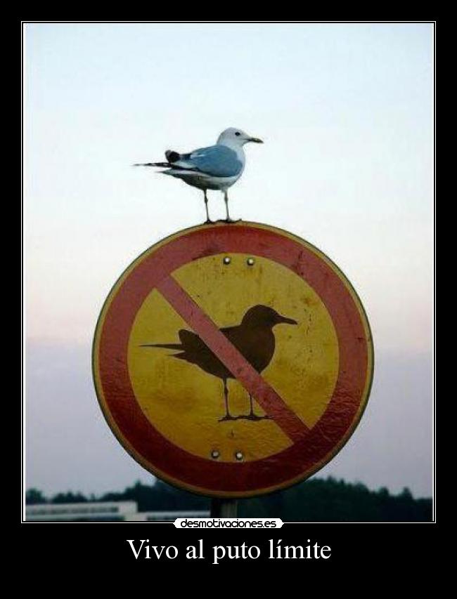Vivo al puto límite - 