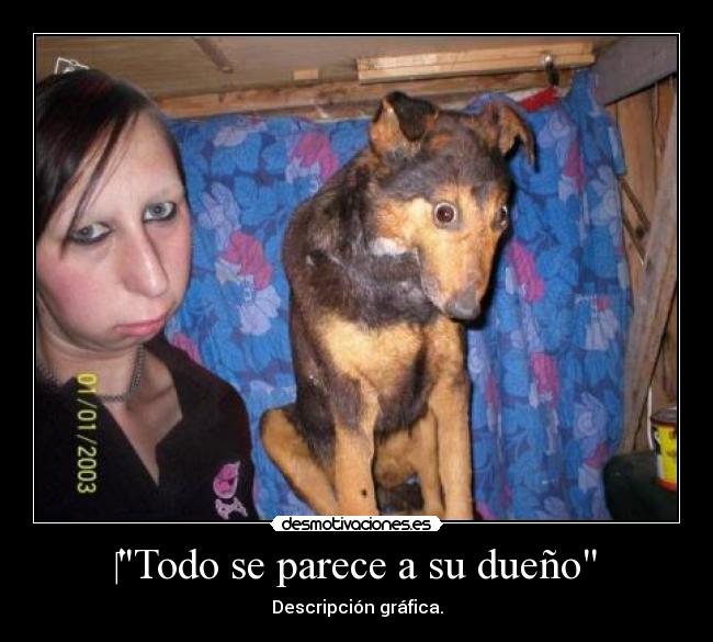 Todo se parece a su dueño - Descripción gráfica.