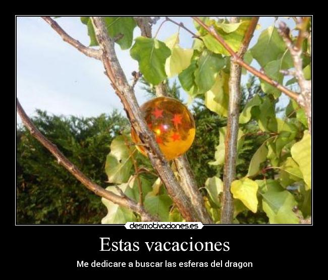 Estas vacaciones - Me dedicare a buscar las esferas del dragon