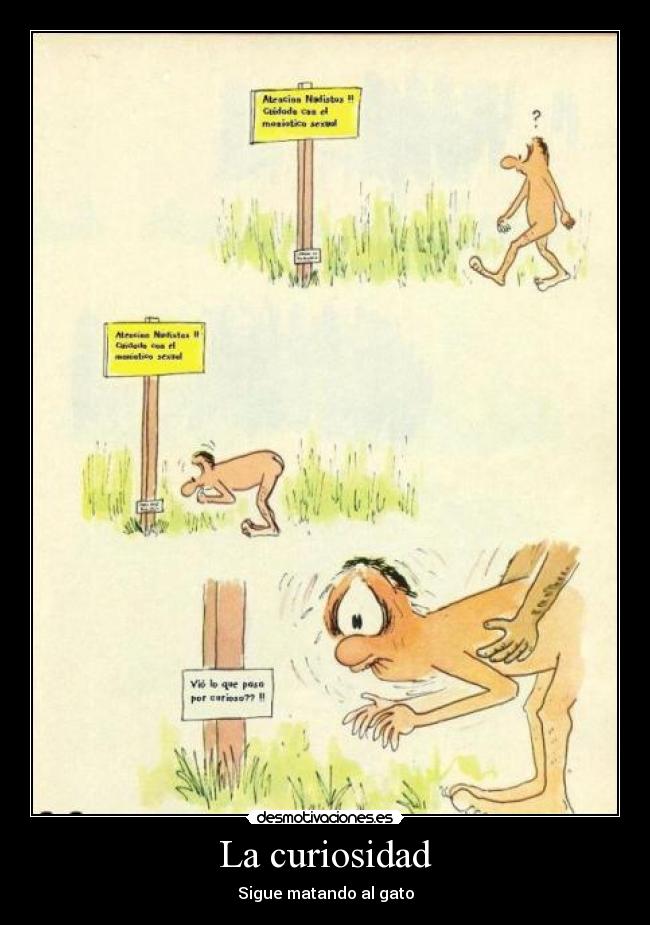 La curiosidad - Sigue matando al gato
