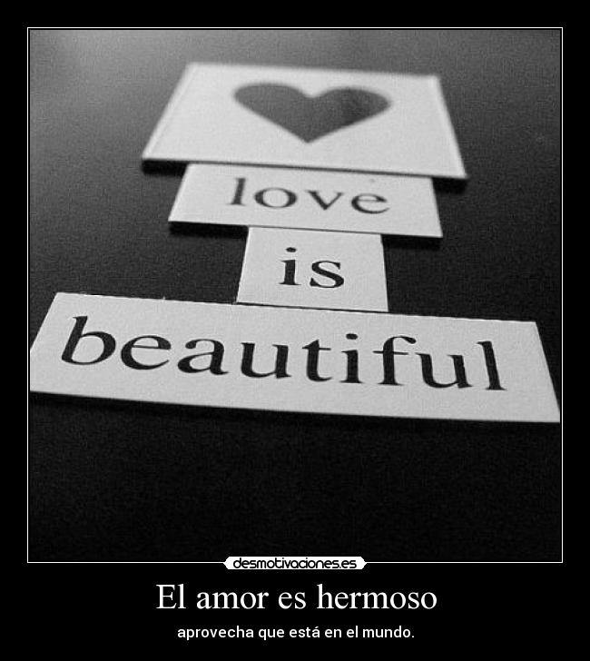 El amor es hermoso - aprovecha que está en el mundo.