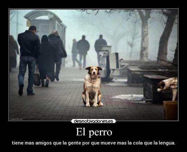 carteles perro desmotivaciones