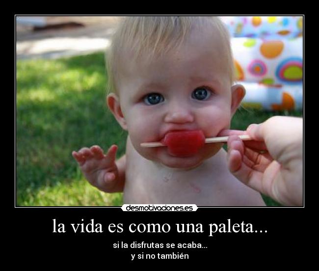 carteles vida vida desmotivaciones