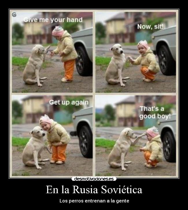 En la Rusia Soviética - Los perros entrenan a la gente