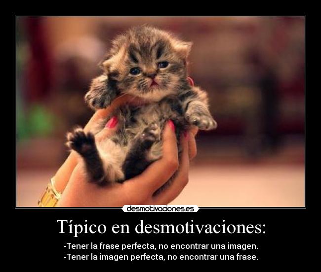 Típico en desmotivaciones: -
