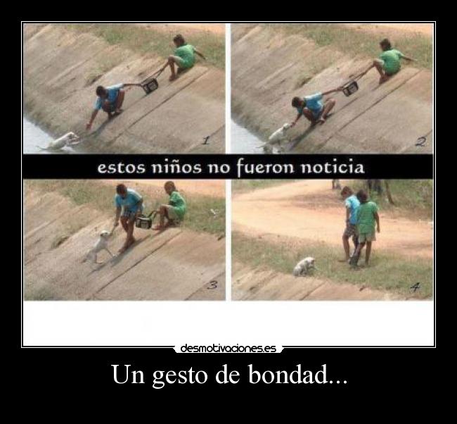 Un gesto de bondad... - 