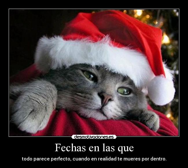 carteles navidad desmotivaciones