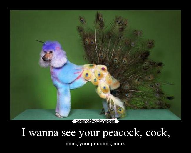 I wanna see your peacock, cock, - cock, your peacock, cock.