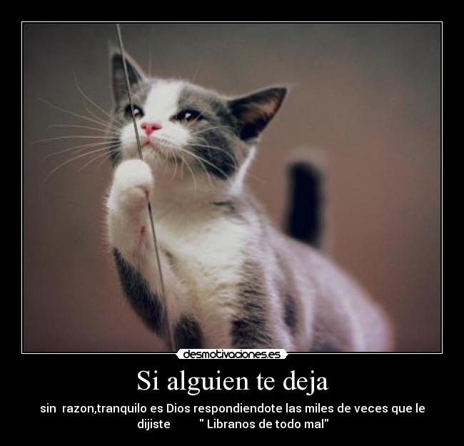 Si alguien te deja - sin razon,tranquilo es Dios respondiendote las miles de veces que le
dijiste Libranos de todo mal
