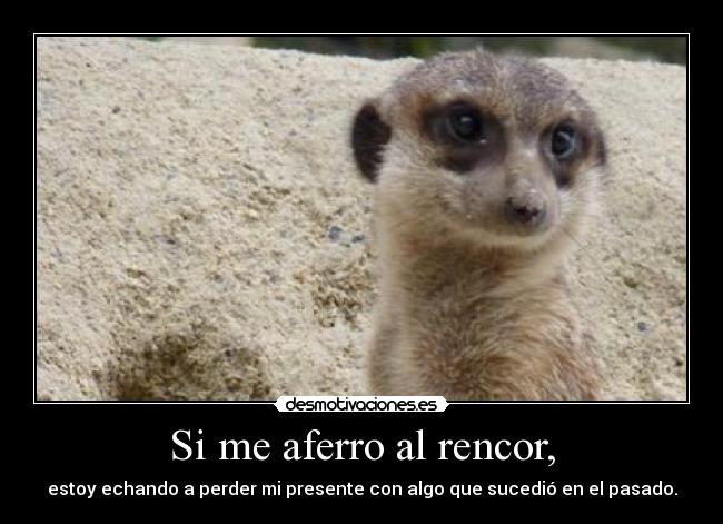 Si me aferro al rencor, -