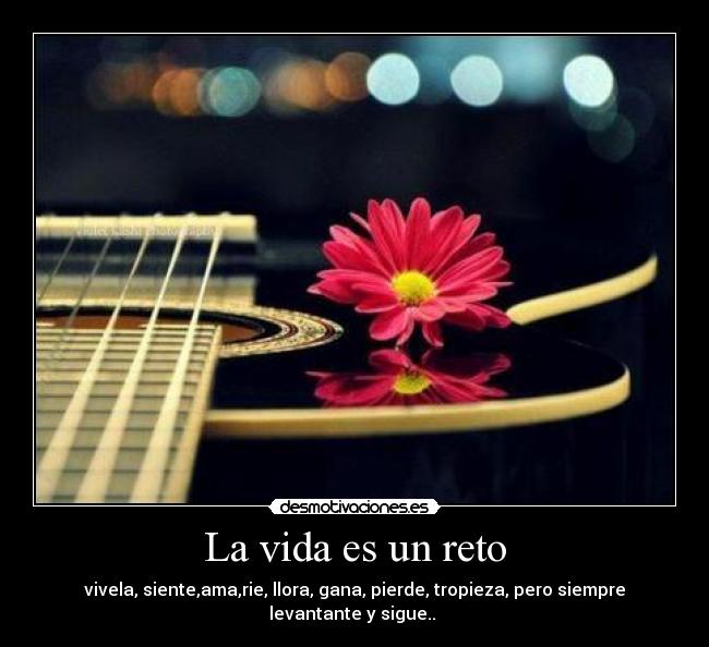 La vida es un reto - vivela, siente,ama,rie, llora, gana, pierde, tropieza, pero siempre levantante y sigue.. ♥