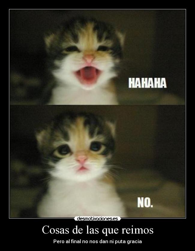 Cosas de las que reimos - Pero al final no nos dan ni puta gracia