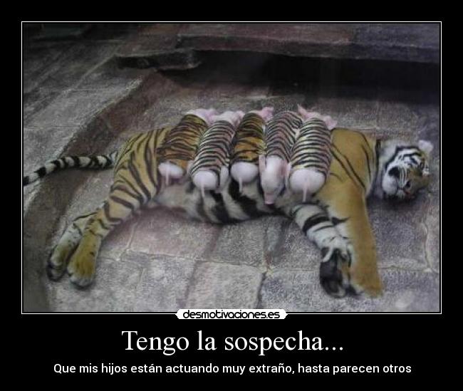 Tengo la sospecha... -