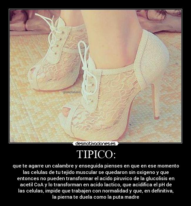 TIPICO: -