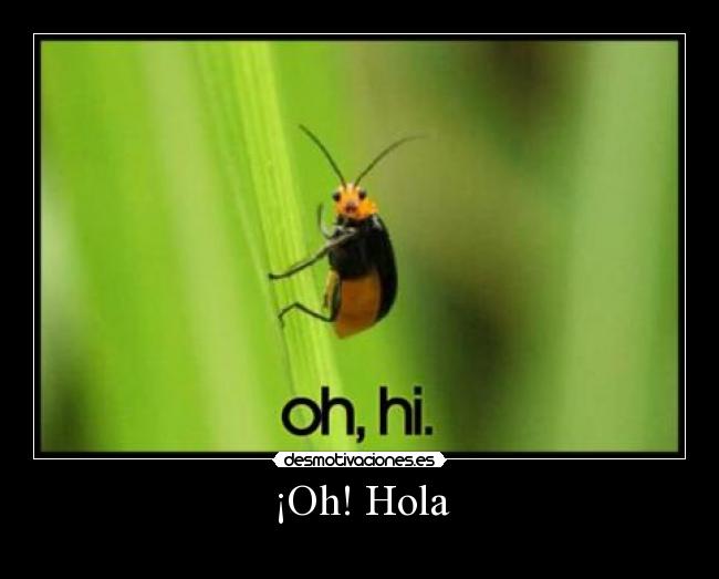 carteles hola pequena criatura desmotivaciones