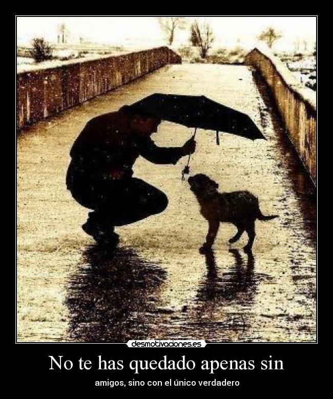 No te has quedado apenas sin - amigos, sino con el único verdadero