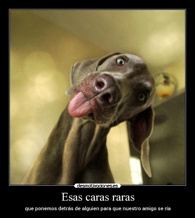 Esas caras raras - que ponemos detrás de alguien para que nuestro amigo se ría