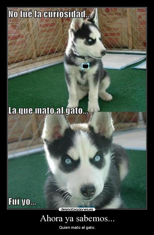 Ahora ya sabemos... -